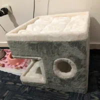 جای خاب گربه