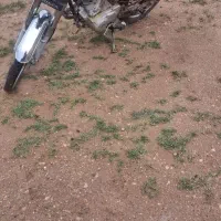 موتور