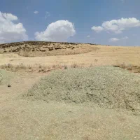 علف|عمده‌فروشی|سارال, |دیوار