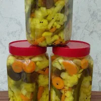 ترشی خونگی دهکده