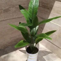 درختچه های پرنده بهشتی مصنوعی ۱۳۰ سانتی آک