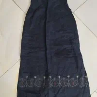 دامن لنین