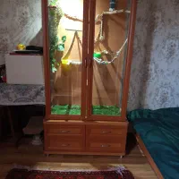 قفس پرنده