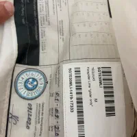 بال پاراگلایدر