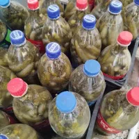 خیارشور تازه