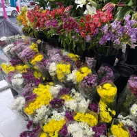 استخدام گل فروشی