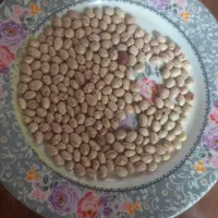 لوبیا چیتی بوجاری شده