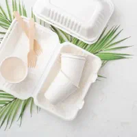 فروش عمده ظروف و مصارف یکبار مصرف بدون واسطه