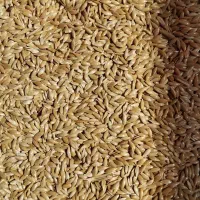 کتان بسیار تمیز در حد لیزر