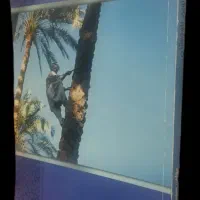 جامعه نوین بلوچستان