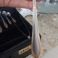 سرویس قاشق ۱۲نفره