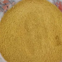 کشک زرد