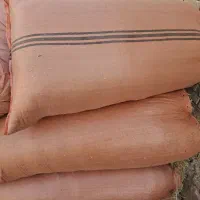 کاه
