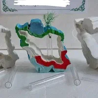 گلجای ایران
