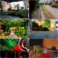 اجاره روزانه هفتگی ماهانه باغ ویلا