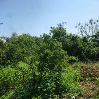 فروش زمین مسکونی بابلکنار