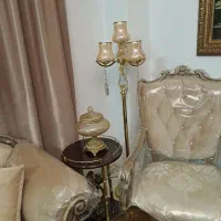 اباژور ایستاده کاملا سالم
