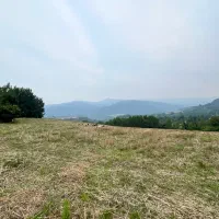 زمین-1-5-هکتاری-روستای-امره