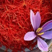 فقط برای ۵ نفر اول تهران یک مثقال طلای سرخ اصل