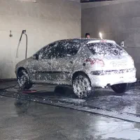 ۲۰۶ مدل ۸۷ بدون رنگ شاسی پلمپ