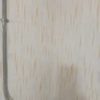 شرکت خدمات نظافتی بانه