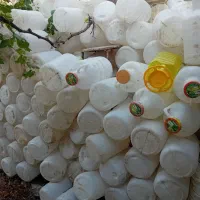 دبه خیارشور