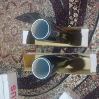 رول دودی