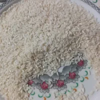 برنج محلی دامن