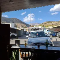 باریستا و صندوقدار خانم