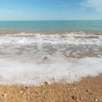 تولید کننده محتوای اینستاگرام