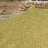 خارشتر