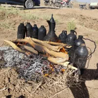 کارگر جهت جمع کردن گل زعفران