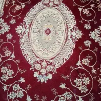 قالی ۶ متری|فرش|گرگان, |دیوار