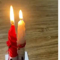 تخفیف فال  به‌مناسبت  ماه ربیع و تک نیت