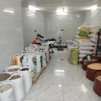 خوراک دام و طیور.ارزن .گندم .ذرت