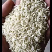فروش برنج عنبربو معطر شوشتر درجه یک امسال