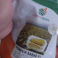 فروش بذر کدو اجیلی باراک f1