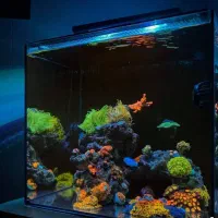 فروشگاه بزرگ اکواریوم و ماهی