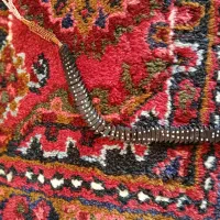 تسبیح خورما