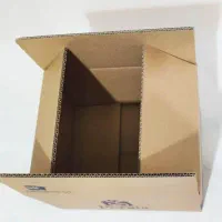 کارتن