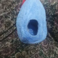 لانه پرنده