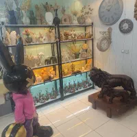 کاملترین مجموعه اکسسوری منزل در جنوب شرق