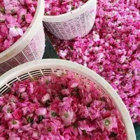 به‌شرط‌عطروبووخالص‌بودن