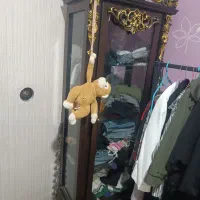 بوفه