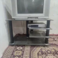 تلویزیون