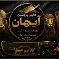 همکار قصاب حرفه ای و مبتدی