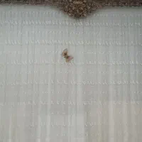 پرده سالن با کتیبه