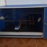 قفس تمام ام دی اف