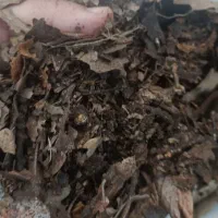 خاک برگ فلهخاک برگ مخصوص گلدان و باغچه