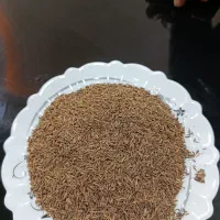 زیره سبز و زیره سیاه